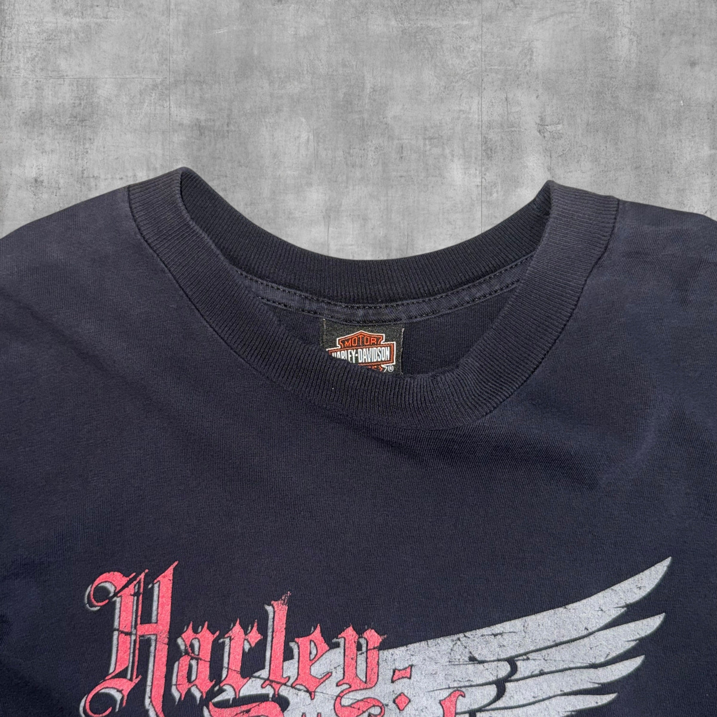 VINTAGE HARLEY DAVIDSON LIVELY ONTARIO CANADA - L - 2005
