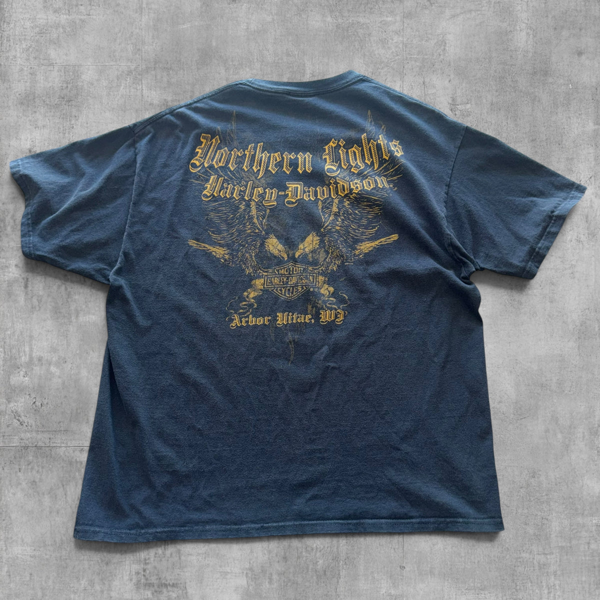 HARLEY DAVIDSON NORTHERN LIGHTS TEE - 2011 - XL