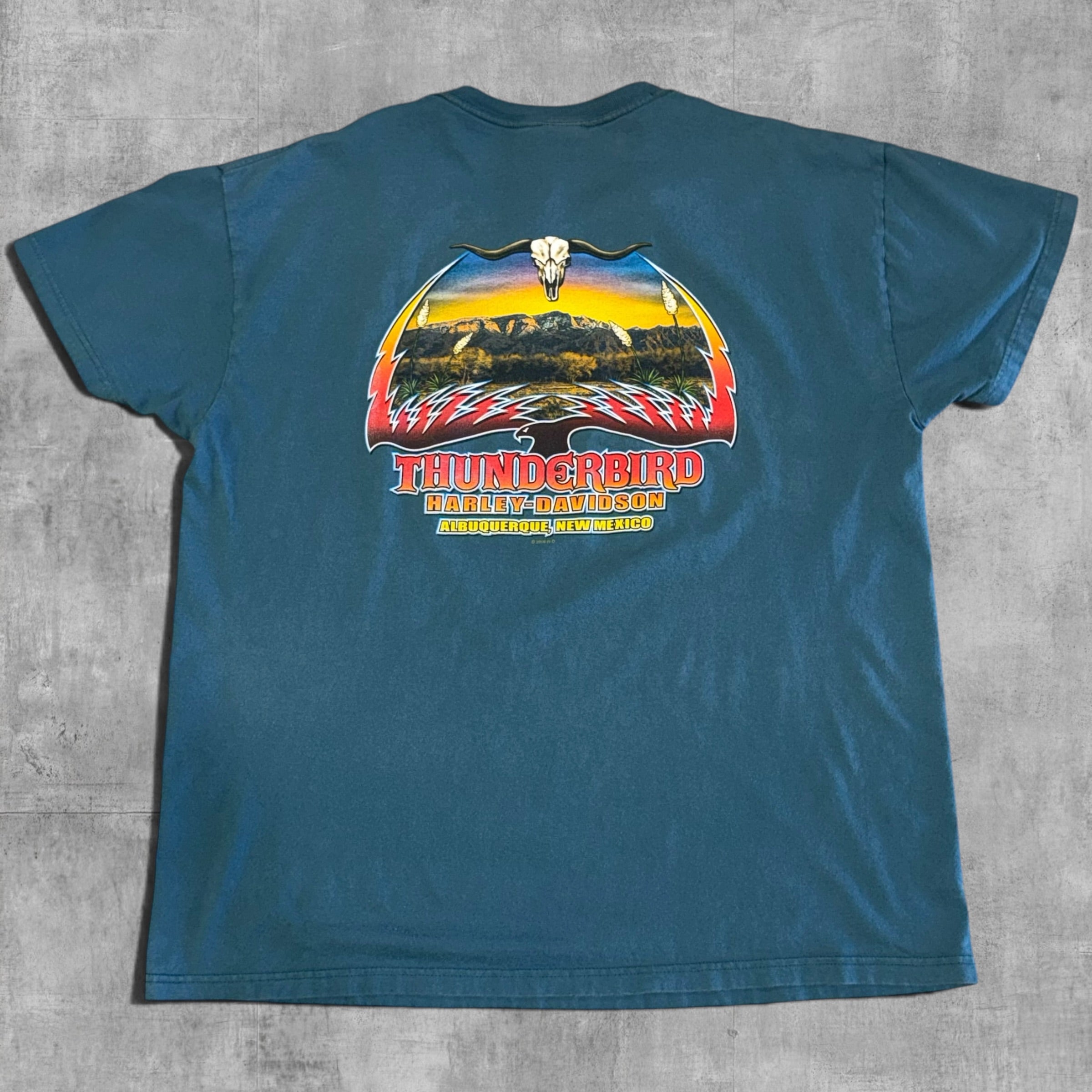 VINTAGE HARLEY DAVIDSON THUNDERBIRD NEW MEXICO - XL - 2006