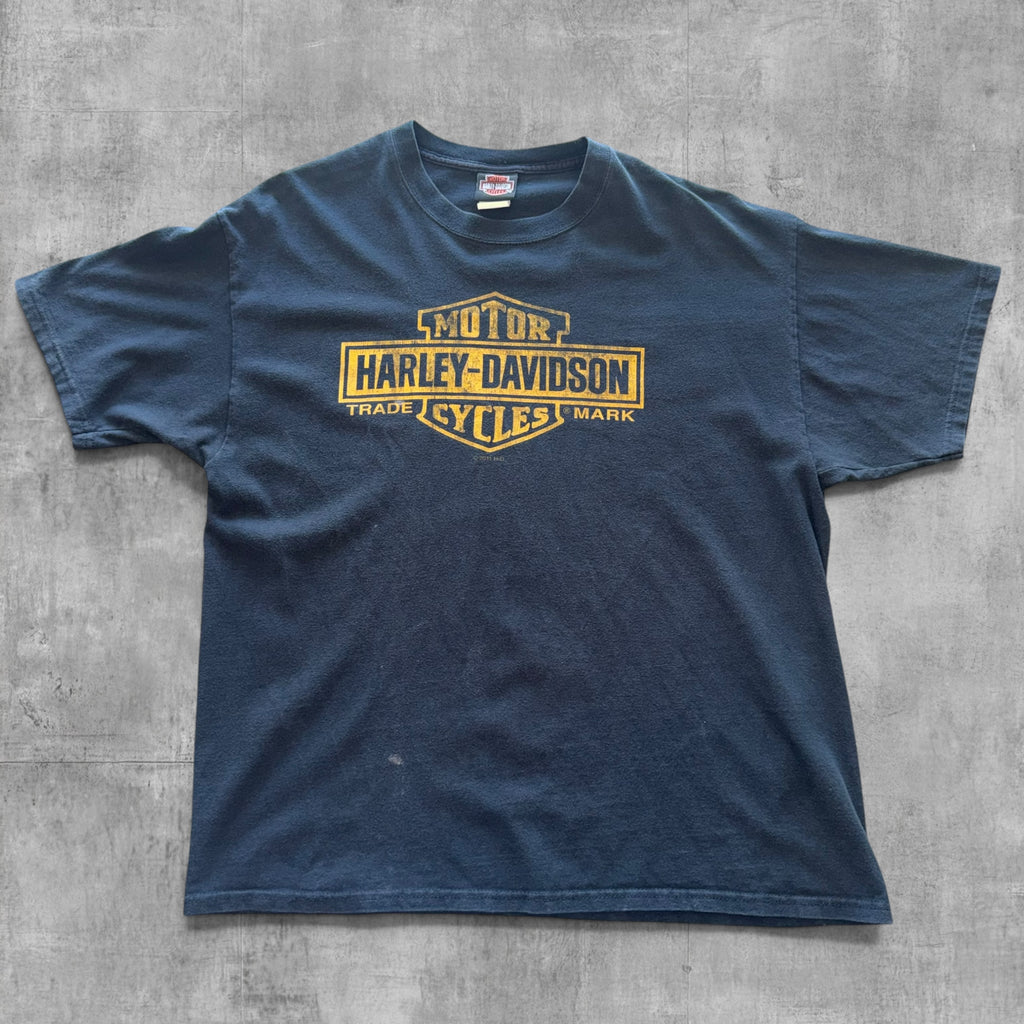 HARLEY DAVIDSON NORTHERN LIGHTS TEE - 2011 - XL