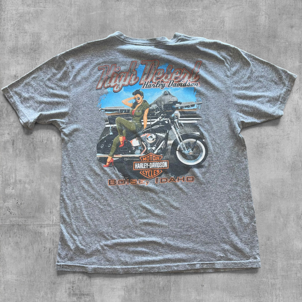 HARLEY DAVIDSON BOISE IDAHO TEE - 2017 - L