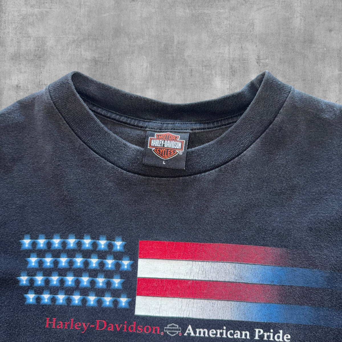VINTAGE HARLEY DAVIDSON DILLON BROTHERS NEBRASKA TEE - 2003 - L