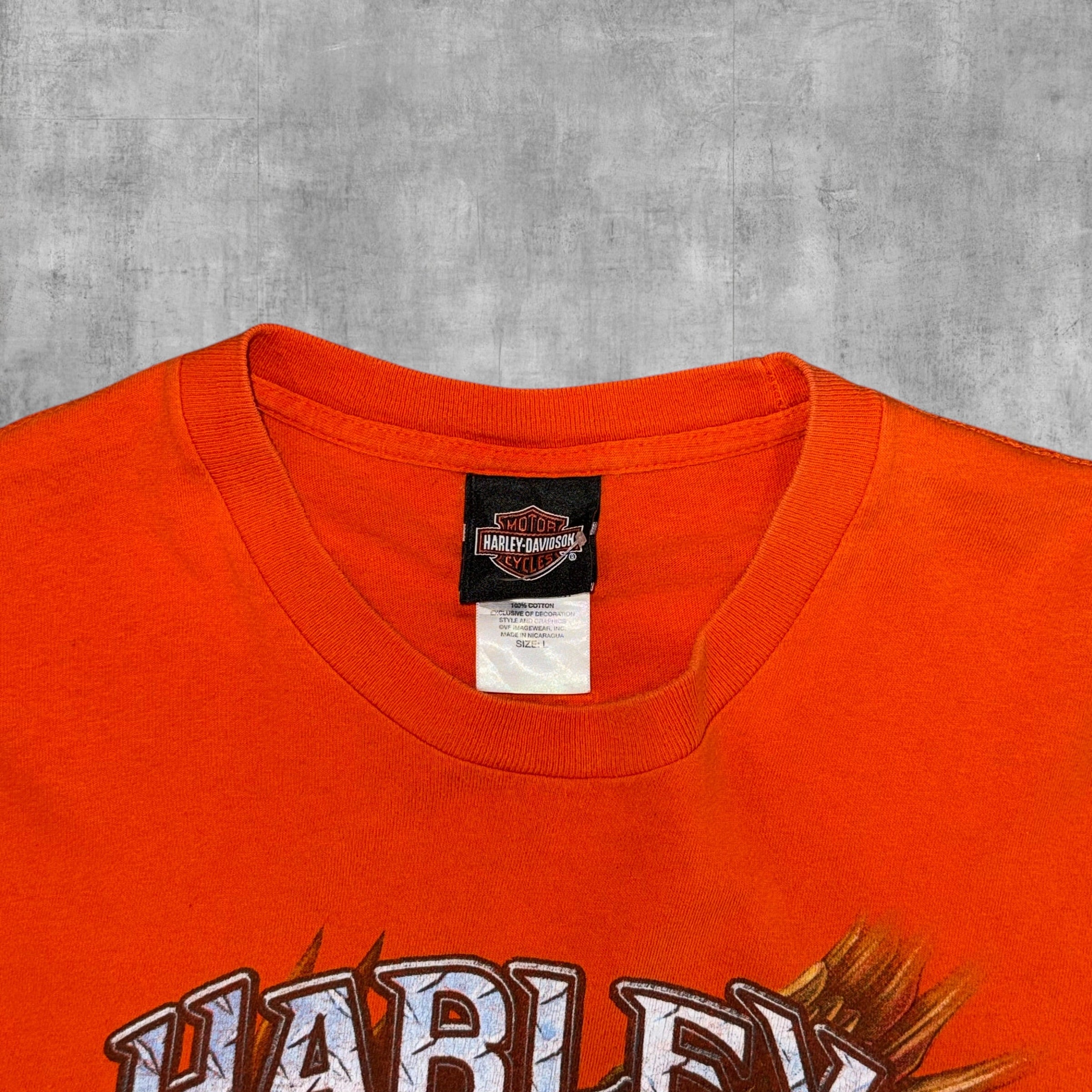 HARLEY DAVIDSON BARNES KAMLOOPS, BC CANADA - L - 2007