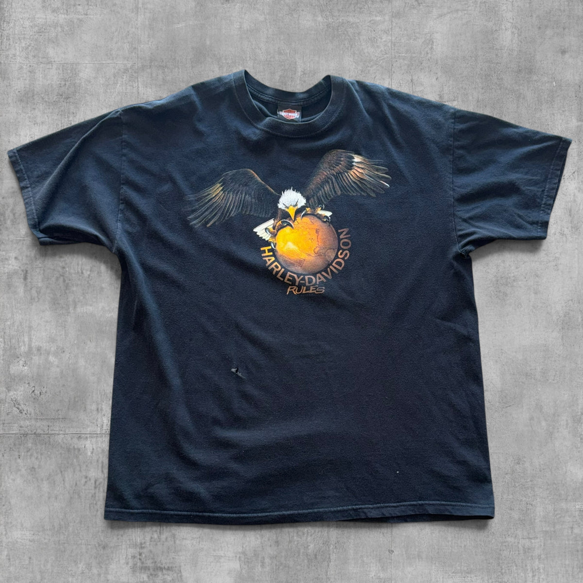 VINTAGE HARLEY DAVIDSON ALBERTA CANADA TEE - 2003 - 2XL
