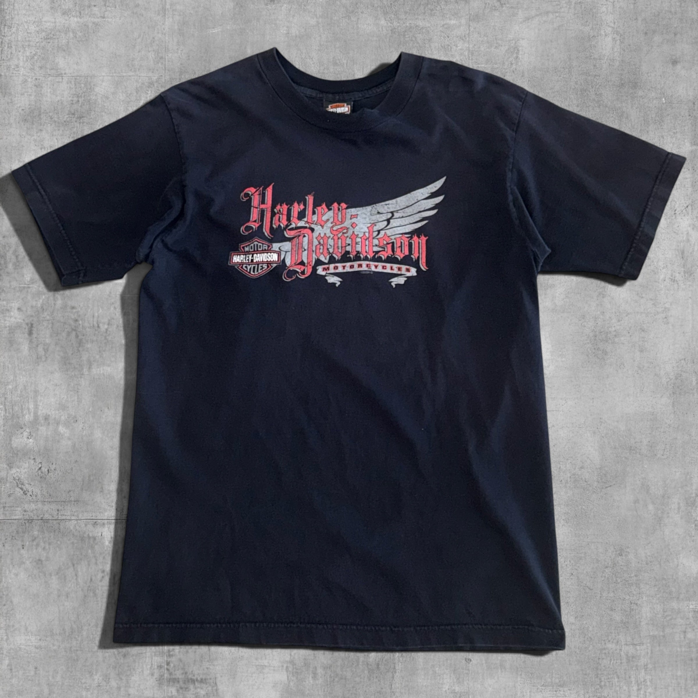 VINTAGE HARLEY DAVIDSON LIVELY ONTARIO CANADA - L - 2005