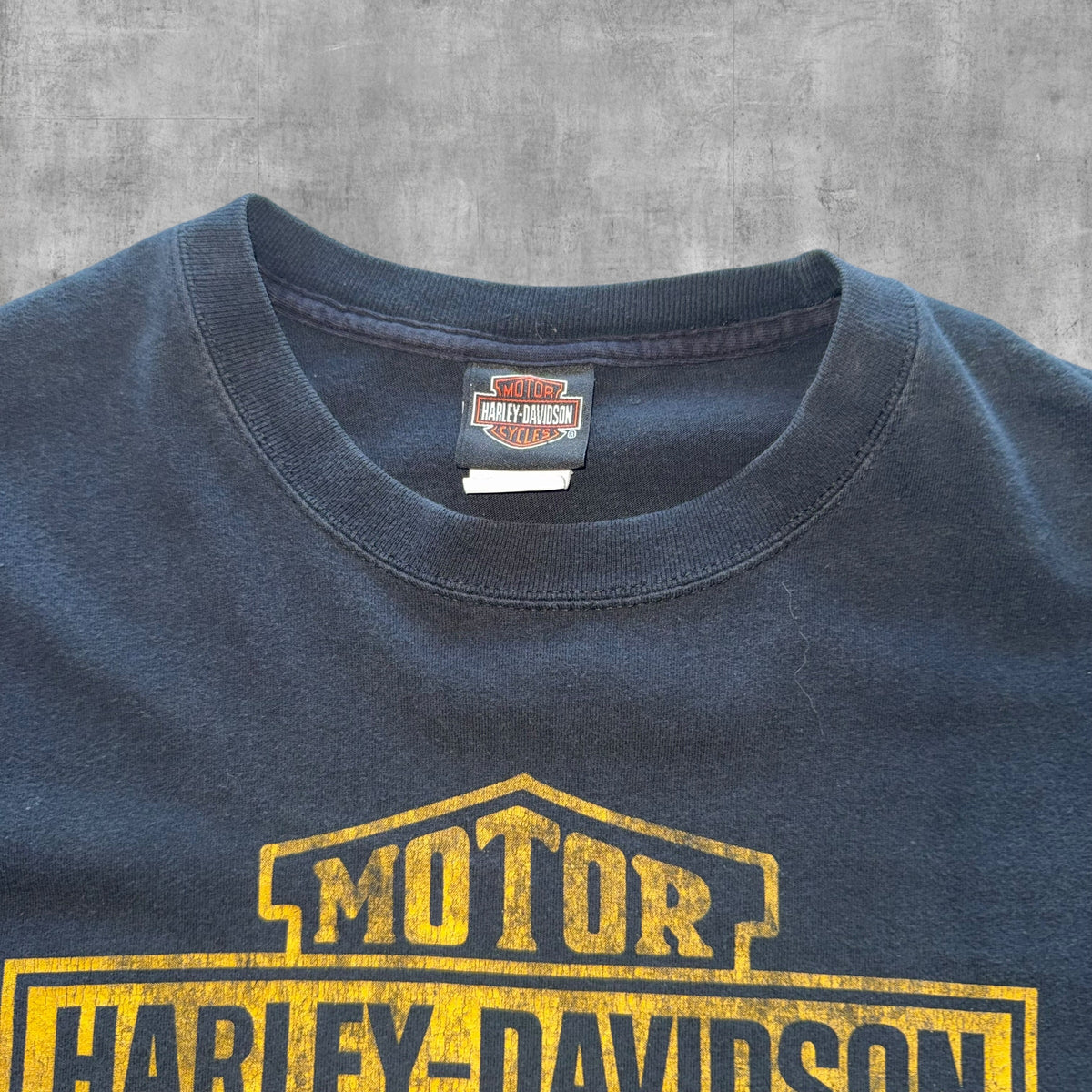 HARLEY DAVIDSON NORTHERN LIGHTS TEE - 2011 - XL