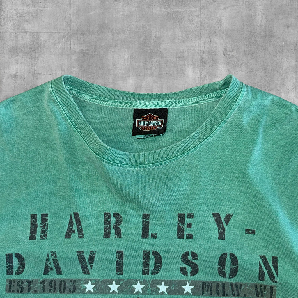 HARLEY DAVIDSON THEINSVILLE, WI - S - 2013