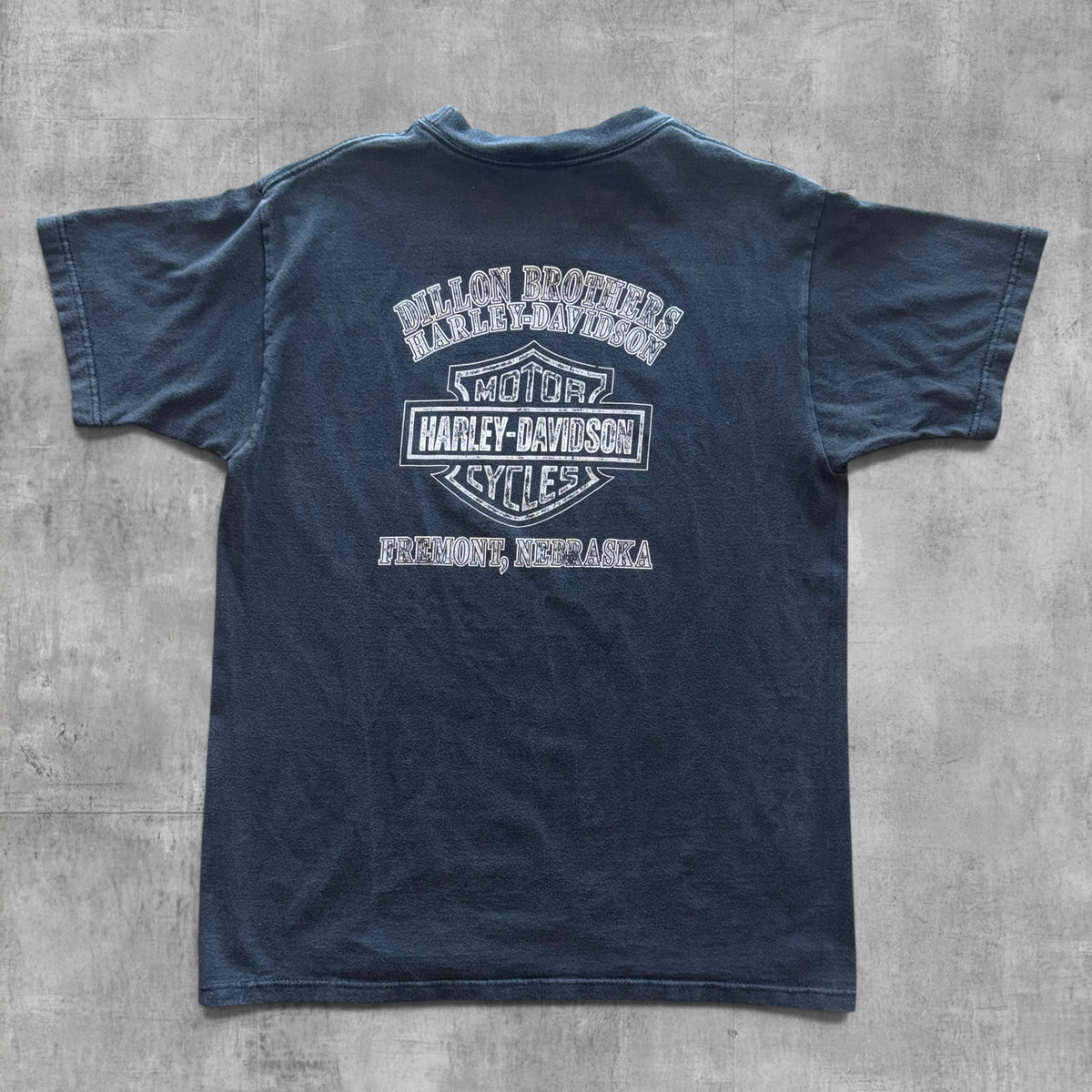 VINTAGE HARLEY DAVIDSON DILLON BROTHERS NEBRASKA TEE - 2003 - L