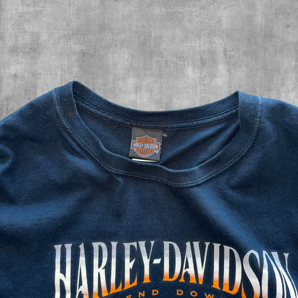 HARLEY DAVIDSON HARBOUR BIRDGE AUSTRALIA TEE - 2013 - 3XL