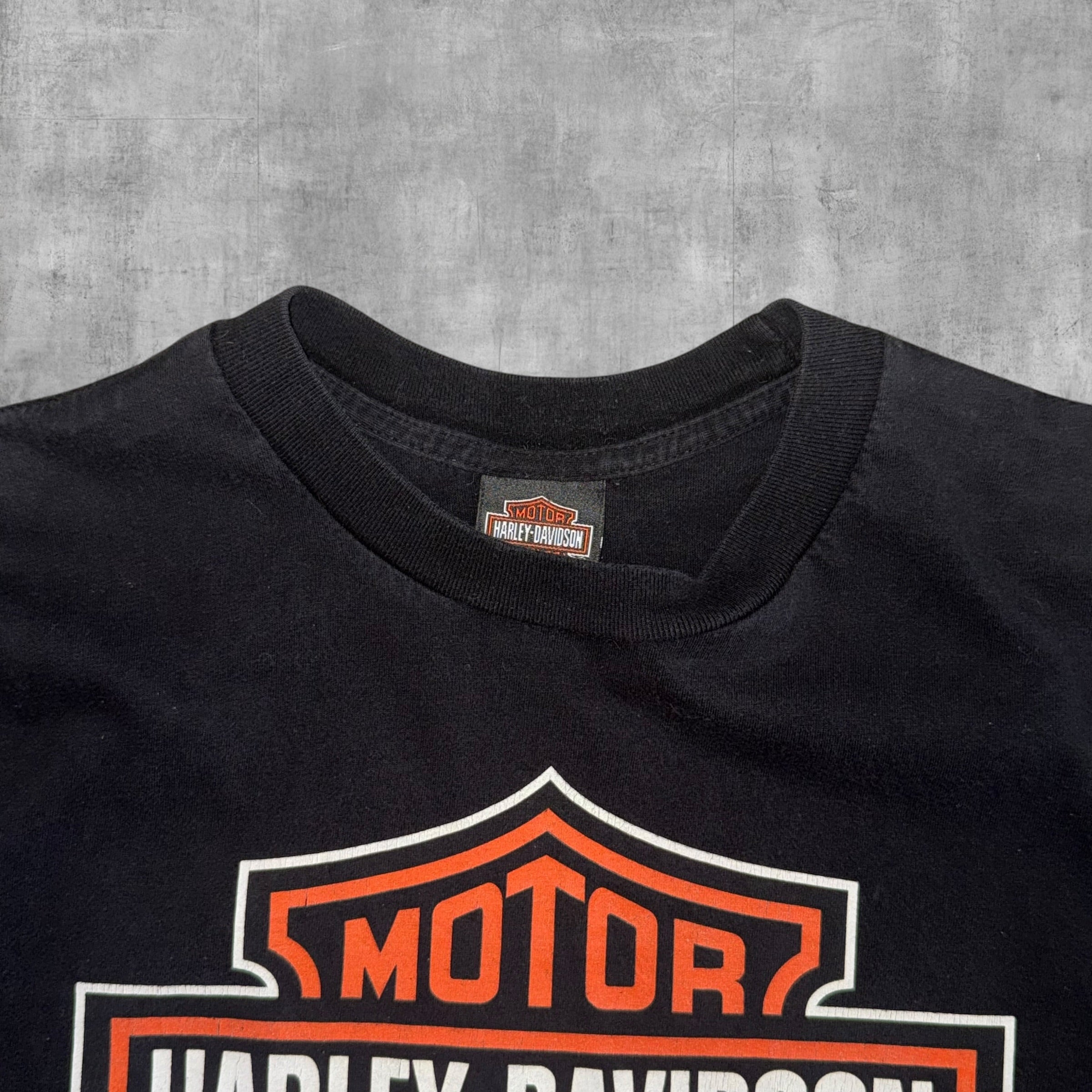 HARLEY DAVIDSON MICHAELS COTATI CALIFORNIA - L - 2011